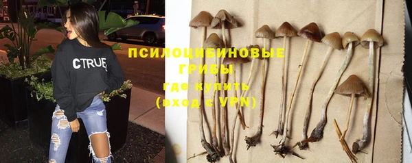 apvp Балабаново