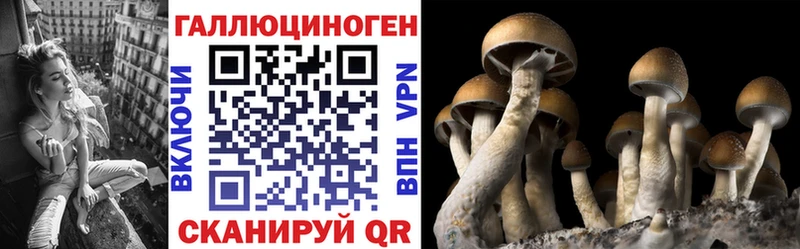 Псилоцибиновые грибы MAGIC MUSHROOMS Староминская